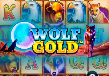 Playtech - игровой автомат онлайн от Various с RTP 95.46%